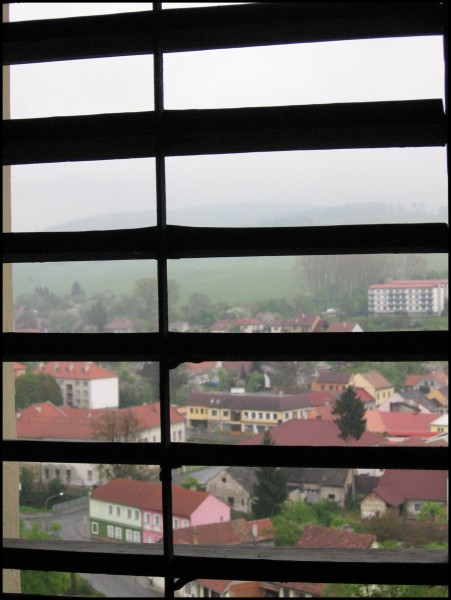 Žaluzie